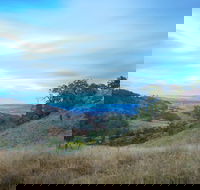 Burning Mountain Nature Reserve - Phillip Island Accommodation