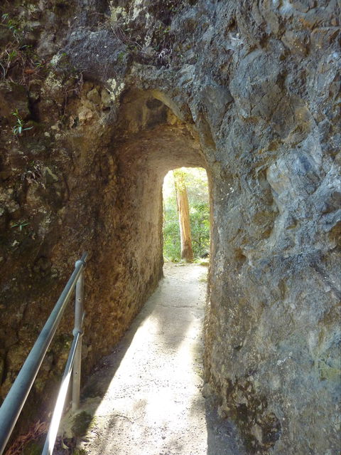 Caves Circuit, Lamington National Park - Phillip Island Accommodation 1