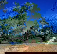 Comet - Phillip Island Accommodation