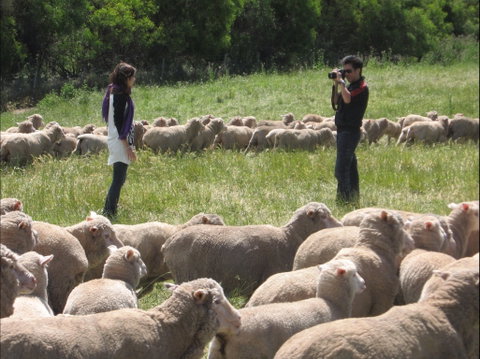 Curringa Farm - Accommodation And Farm Tours - Phillip Island Accommodation 1