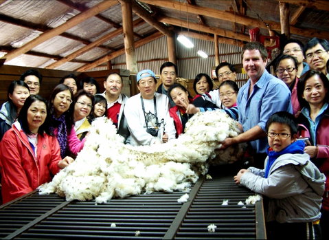 Curringa Farm - Accommodation And Farm Tours - Phillip Island Accommodation 2