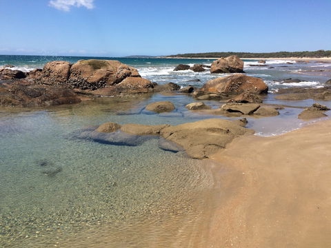 Eurimbula National Park - Phillip Island Accommodation 0