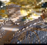 Evandale - Phillip Island Accommodation