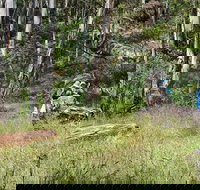 Federal Falls Walk - Phillip Island Accommodation