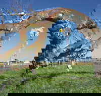 Greenough Leaning Trees - Phillip Island Accommodation