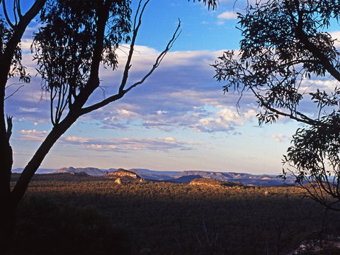 Ka Ka Mundi, Carnarvon National Park - Phillip Island Accommodation 0