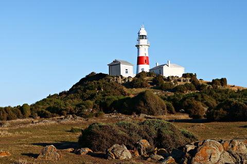 Low Head Foghorn - Phillip Island Accommodation 1