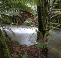 Marriotts Falls and Junee Caves - Phillip Island Accommodation