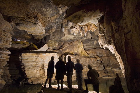 Mimbi Caves - Phillip Island Accommodation 2