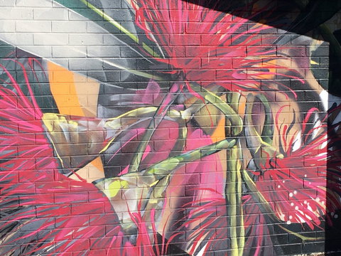 Mokoan Rest Stop Northbound - Phillip Island Accommodation 0