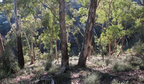 Mount Gray Walking Track - Phillip Island Accommodation 0