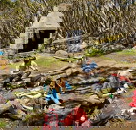 Mt Baw Baw - Phillip Island Accommodation