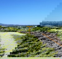 Mt Lindsay Rotary Park - Phillip Island Accommodation