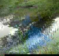 Mullion Range State Conservation Area - Phillip Island Accommodation