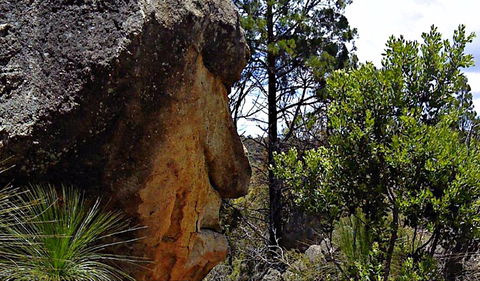 Mystery Face Walking Track - Phillip Island Accommodation 0