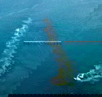 Port Noarlunga Reef Sanctuary Zone - Encounter Marine Park - Phillip Island Accommodation