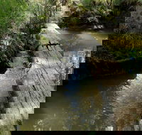 Second Ponds Creek Walk - Phillip Island Accommodation