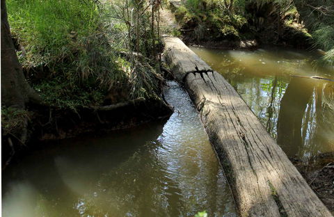 Second Ponds Creek Walk - Phillip Island Accommodation 0