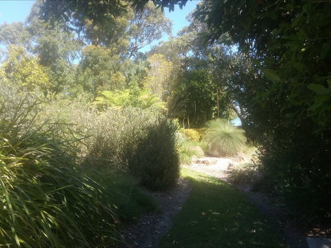 Shoalhaven Heads Native Botanic Garden - Phillip Island Accommodation 2