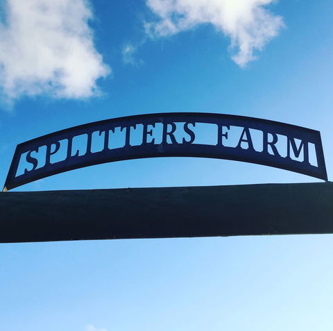 Splitters Farm - Phillip Island Accommodation 2