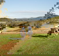 Tamworth and Kootingal Horse Riding Adventures - Phillip Island Accommodation