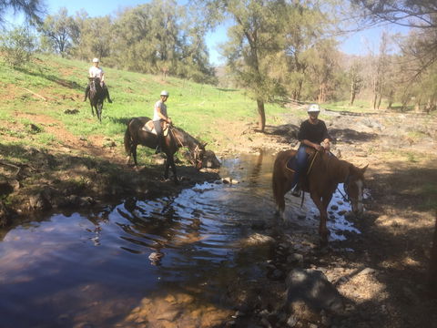 Tamworth And Kootingal Horse Riding Adventures - Phillip Island Accommodation 2