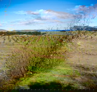 Tarago Truffles - Phillip Island Accommodation