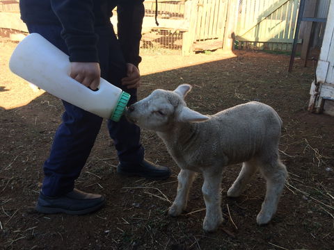 Taralga Wildlife Park - Phillip Island Accommodation 0