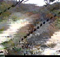 The Falls Water Falls - Phillip Island Accommodation