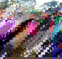 The Saddle Camp - Phillip Island Accommodation