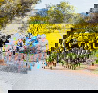 The Heron's Highway - Avon River Cycle Trail - Phillip Island Accommodation