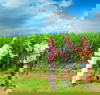 The Shed Gallery - Phillip Island Accommodation