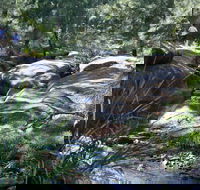 Towarri National Park - Phillip Island Accommodation