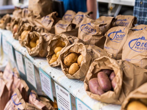Warragul Farmers Market - Phillip Island Accommodation 2