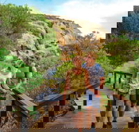 Woody Island Nature Reserve - Phillip Island Accommodation