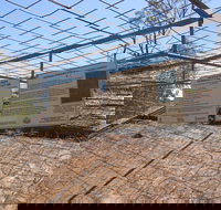 Aboriginal Carvings - Phillip Island Accommodation