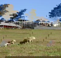 Calmsley Hill City Farm - Phillip Island Accommodation