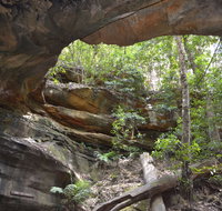 Cave Creek Walking Track - Phillip Island Accommodation