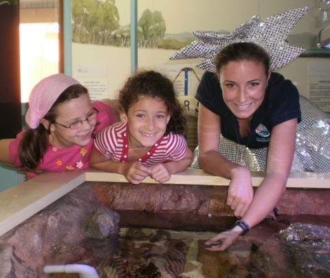 Central Coast Marine Discovery Centre - Phillip Island Accommodation 0