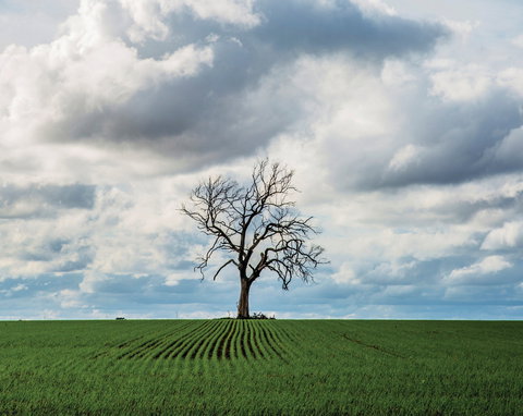 Clare Valley - Phillip Island Accommodation 0