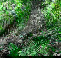 Djiru National Park - Phillip Island Accommodation