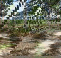 Djukbinj National Park - Phillip Island Accommodation