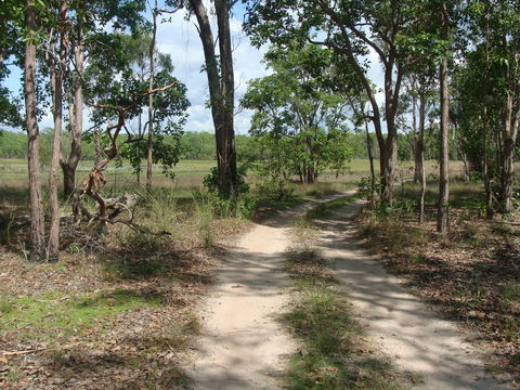 Djukbinj National Park - Phillip Island Accommodation 0