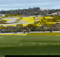 Fini Olives - Phillip Island Accommodation