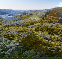 Gold Coast Hinterland Great Walk - Phillip Island Accommodation