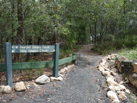 Haig Street Quarry Bushland Reserve Trails - Phillip Island Accommodation 1