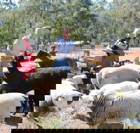 Haigslea EWE Nique Hobby Farm - Phillip Island Accommodation