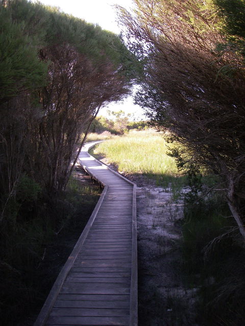 Kepwari Trails Wetland Wonderland - Phillip Island Accommodation 1