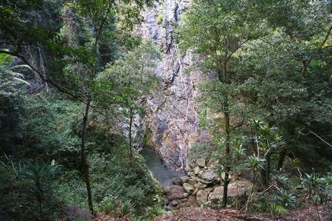 Kondalilla Falls Circuit, Kondalilla National Park - Phillip Island Accommodation 0