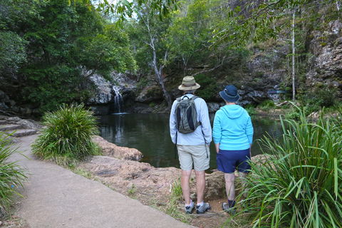 Kondalilla Falls Circuit, Kondalilla National Park - Phillip Island Accommodation 1